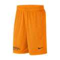  Nike Dri-Fit Athletic Shorts